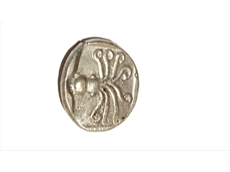 Celtic-Coin,-Is-It-Fake?