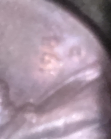 1985-D-Lincoln-Cent-Close-Ridge-And-Double-In-D-Mint-Mark