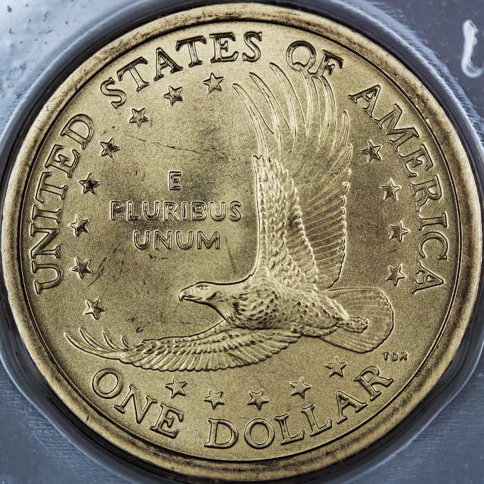 Post-Your-Coins-Representing-The-Animal-Kingdom.