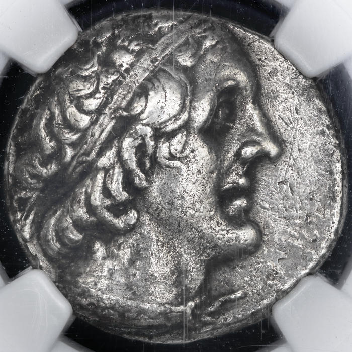 Post-Your-Coins-Representing-The-Animal-Kingdom.