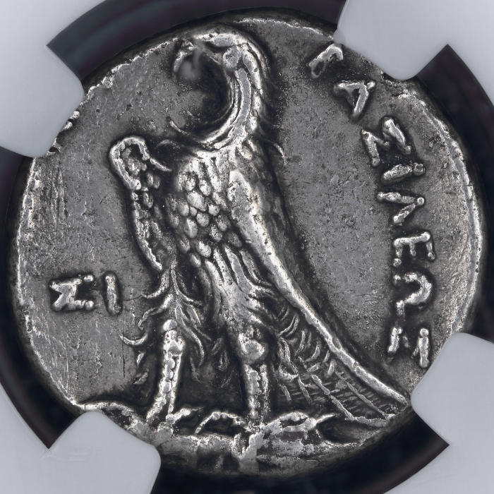 Post-Your-Coins-Representing-The-Animal-Kingdom.