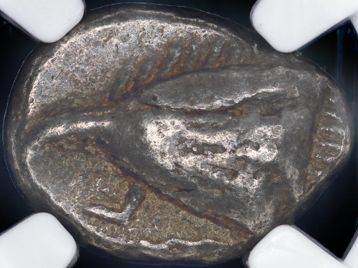 Show-Your-Coins-With-Different-Edges
