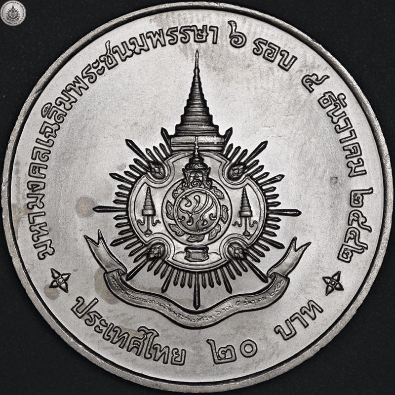 166-Days-Of-Yakko's-World-Coins
