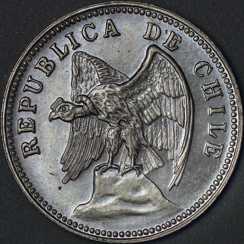 166-Days-Of-Yakko's-World-Coins