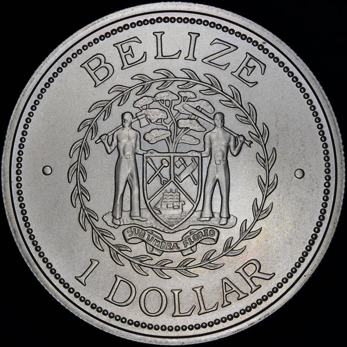 Post-Your-Coins-With-Hats