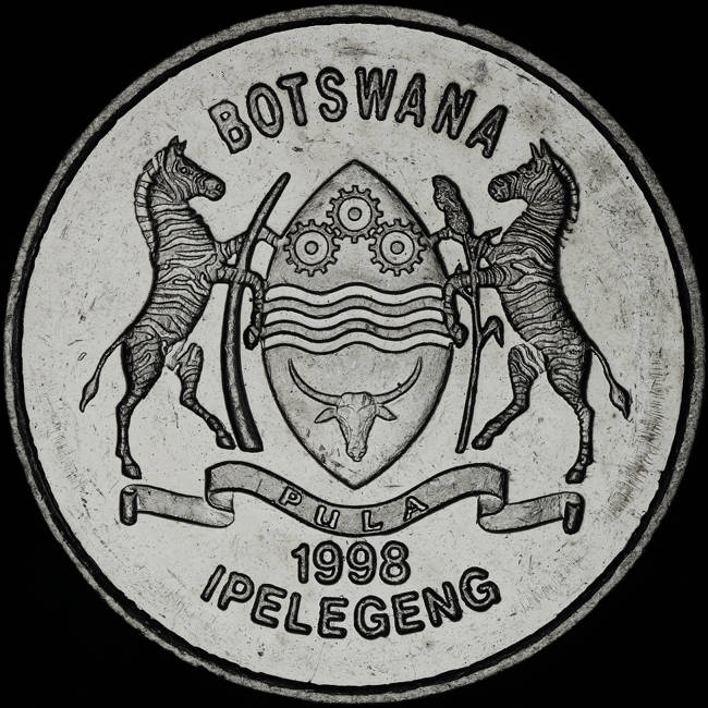 166-Days-Of-Yakko's-World-Coins