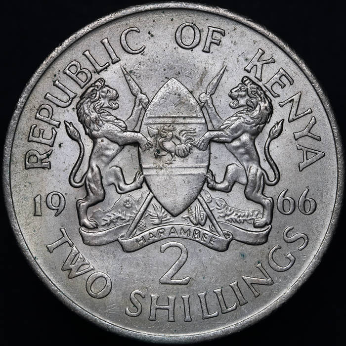 166-Days-Of-Yakko's-World-Coins