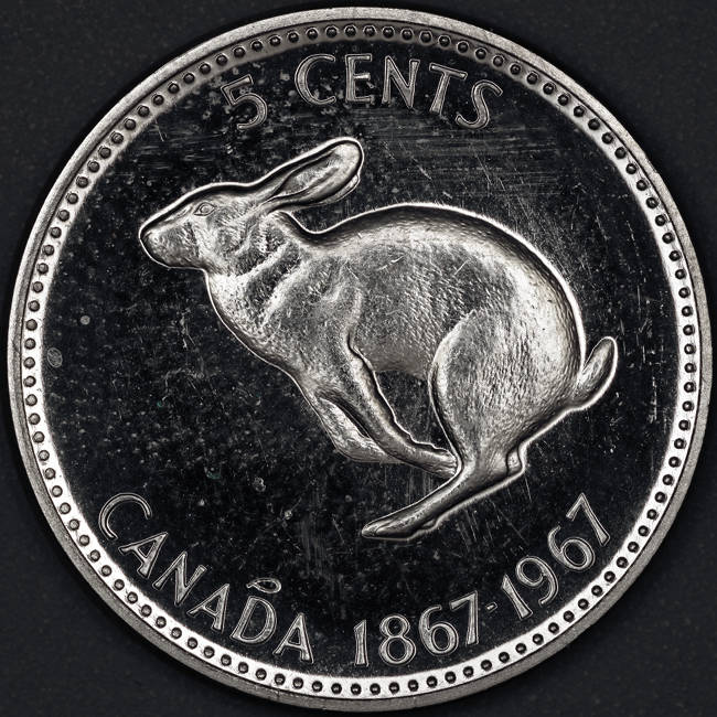 Post-Your-Coins-Representing-The-Animal-Kingdom.