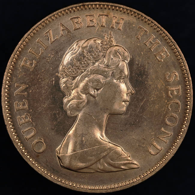 Post-Your-Coins-Representing-The-Animal-Kingdom.