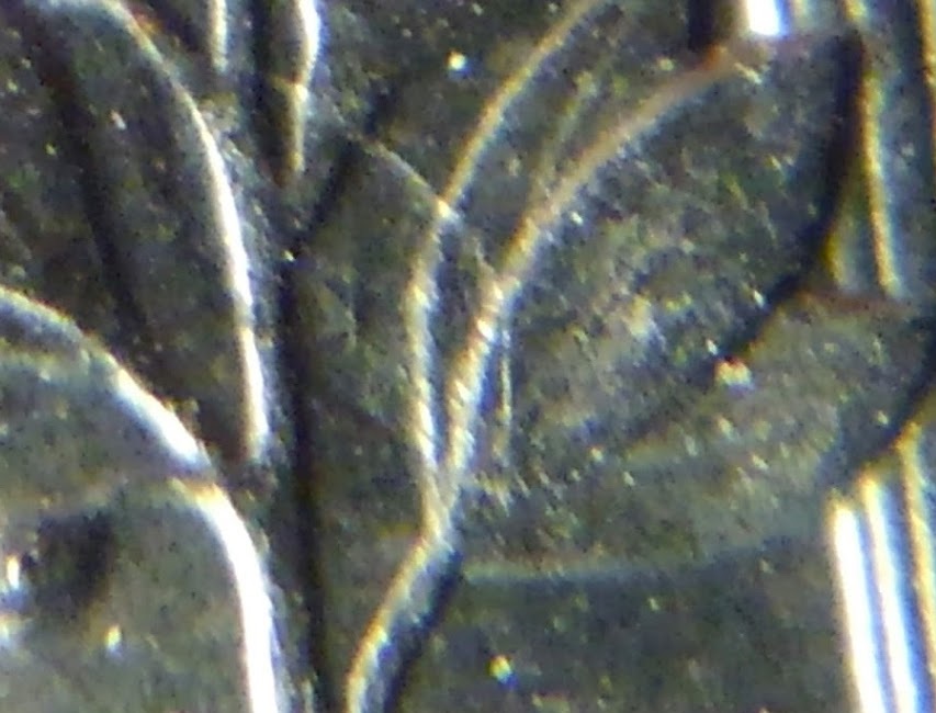 2016-P-LDS-Roosevelt-Dime-With-An-Extra-Incuse-