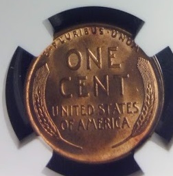 1934-P-1-DR-002/Ddr-001-MDS-Stageb-LWC