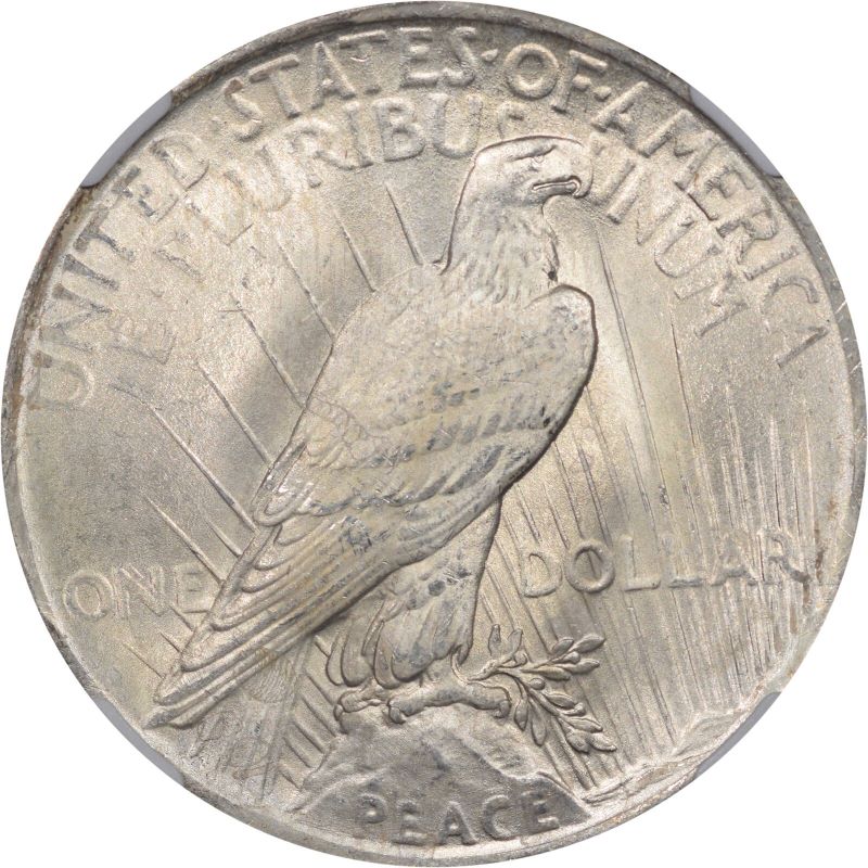 1923-Peace-Dollar-You-Vs.-NGC