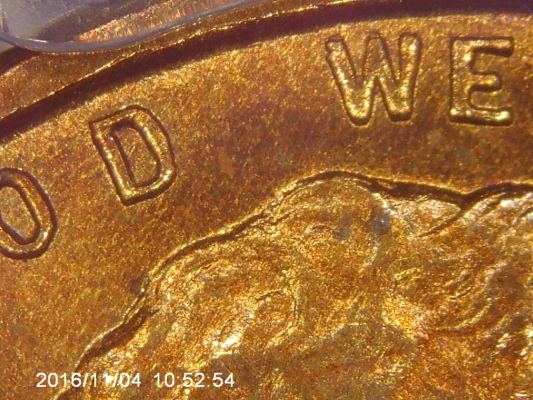 Coin-Shop-Coin,-Grade-Came-Back-Cleaned.