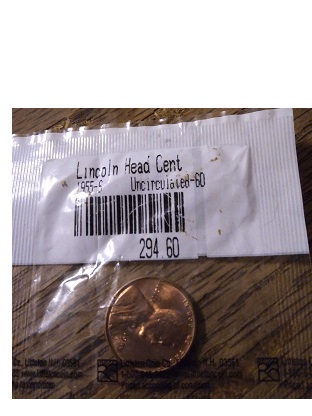 1955-S-Wheat-Penny-Ame-On-Back-Almost-Gone-Uncirculated?