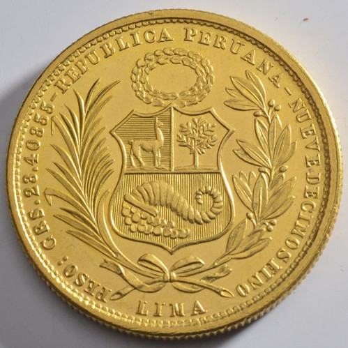 A-South-American-Coin-For-Grading