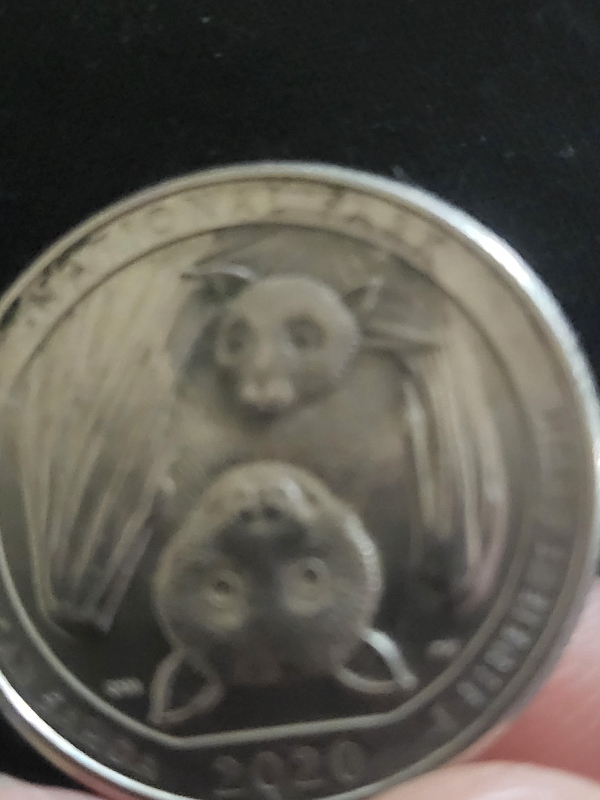 2020-Bat-Quarter-Has-Doubling-And-Die-Chips-But-Never-Seen-Face-Dulled-Out