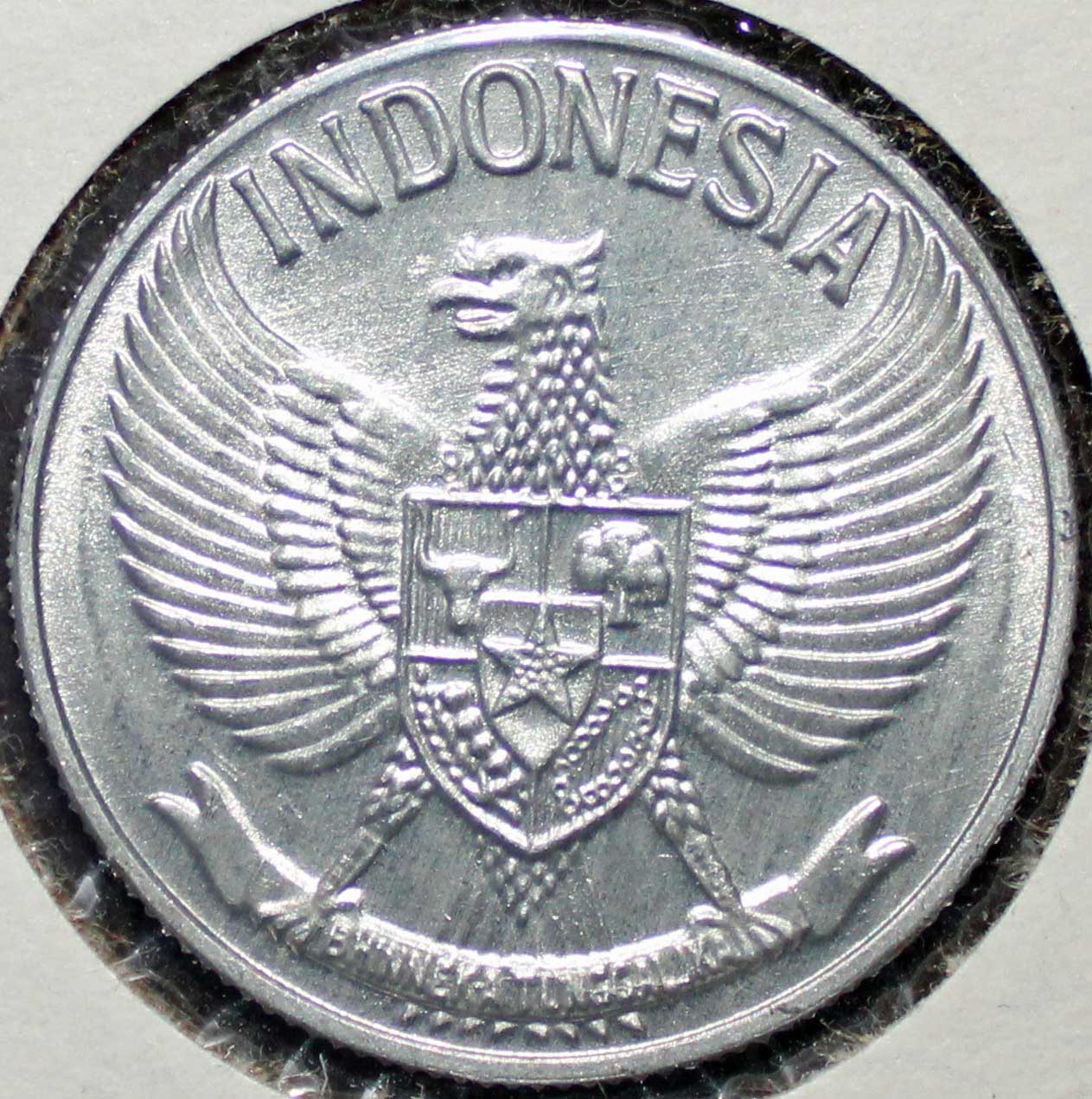 Post-Your-Bird-Coins