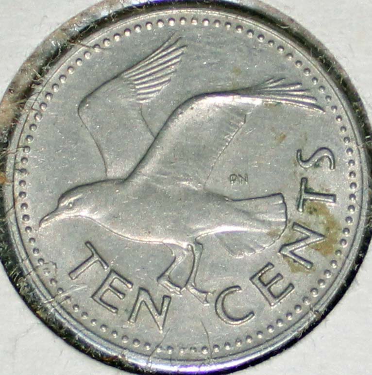 Post-Your-Bird-Coins