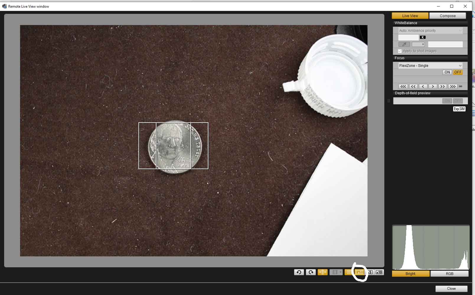 Focusing-At-200%-Using-EOS-Utility-Remote-Live-View