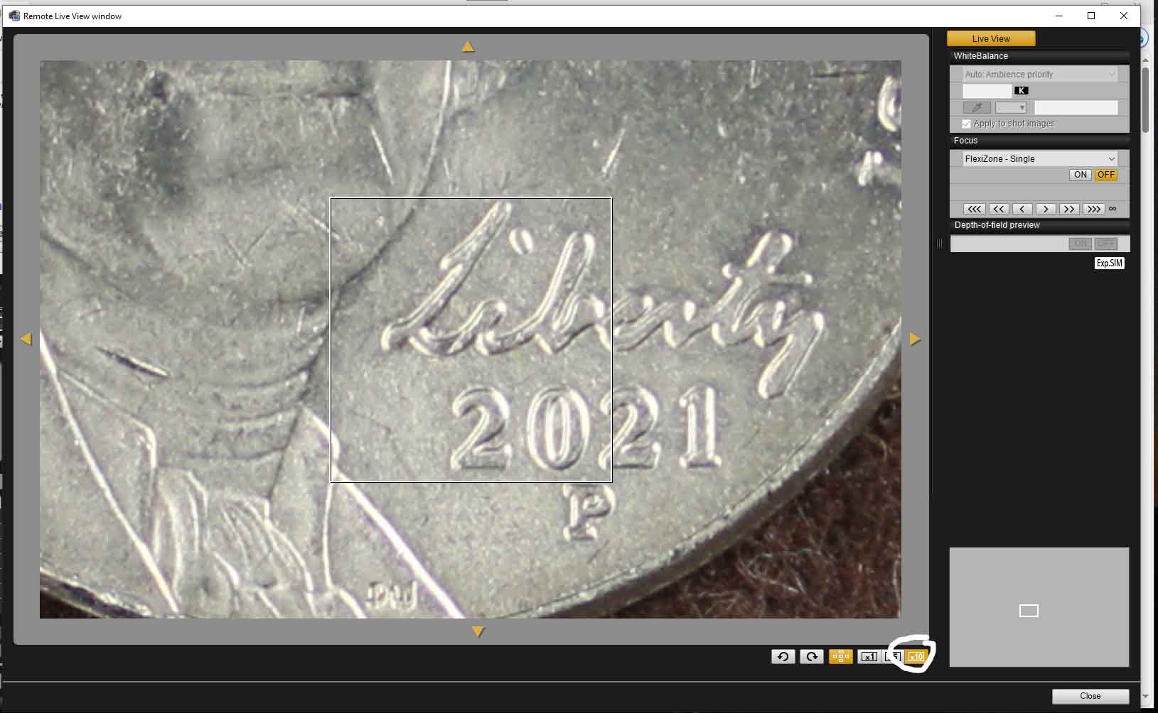 Focusing-At-200%-Using-EOS-Utility-Remote-Live-View