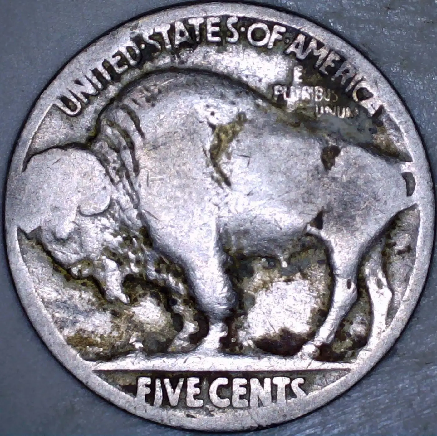 BU-Buffalo-Nickel-Beat-Up---Don't-Get-Too-Excited
