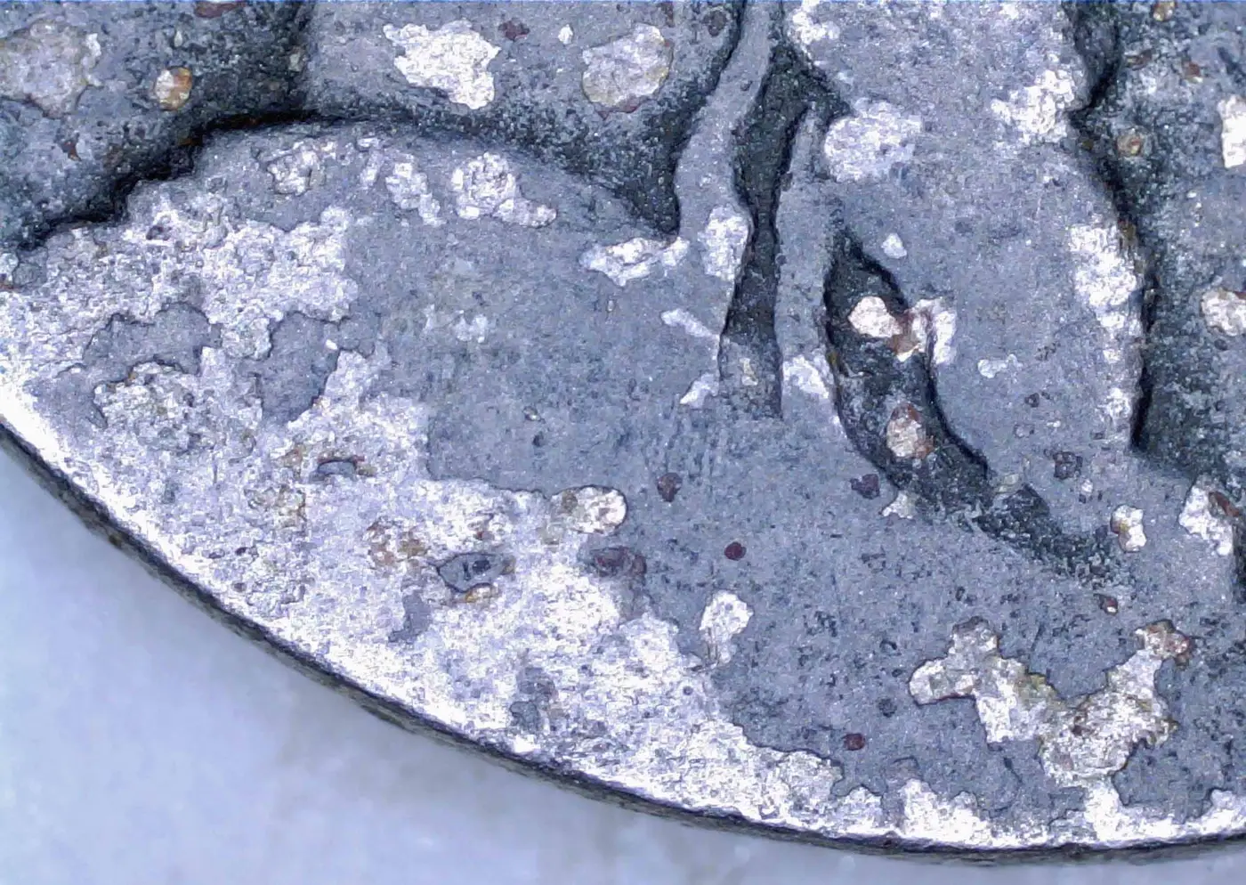 BU-Buffalo-Nickel-Beat-Up---Don't-Get-Too-Excited