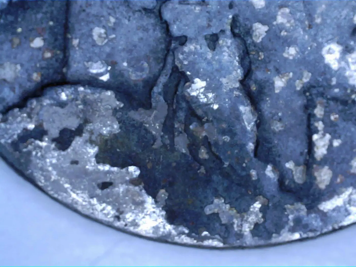 BU-Buffalo-Nickel-Beat-Up---Don't-Get-Too-Excited