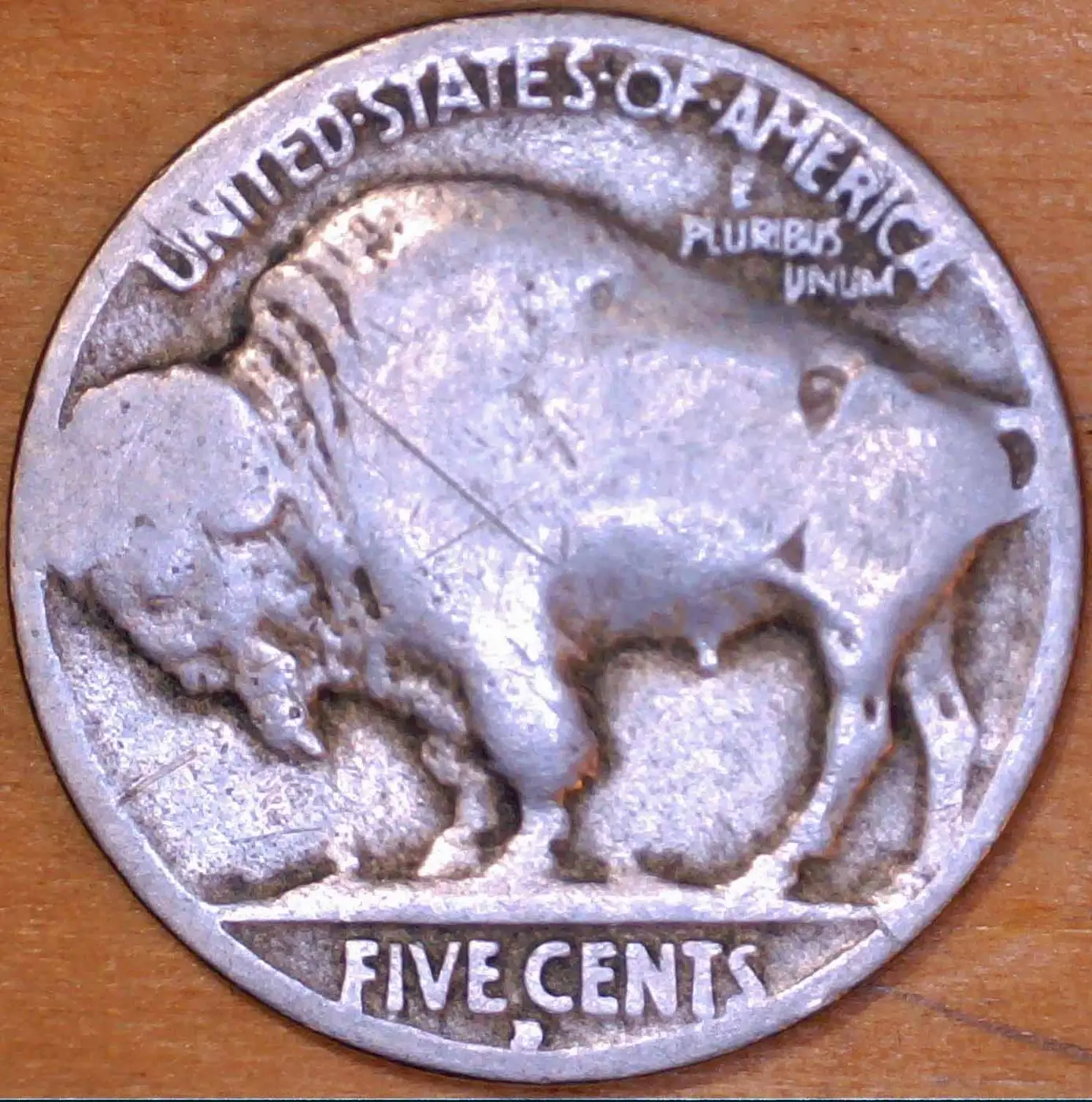 1929-D-Buffalo-Nickel---Need-Date-Confirmation