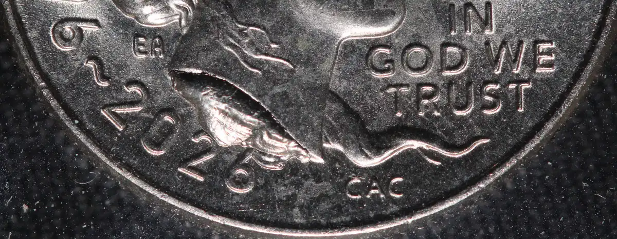 2026-P-Emerging-Liberty-Dime-With-Massive-Die-Chip-Under-Neck-Ebay-Purchase