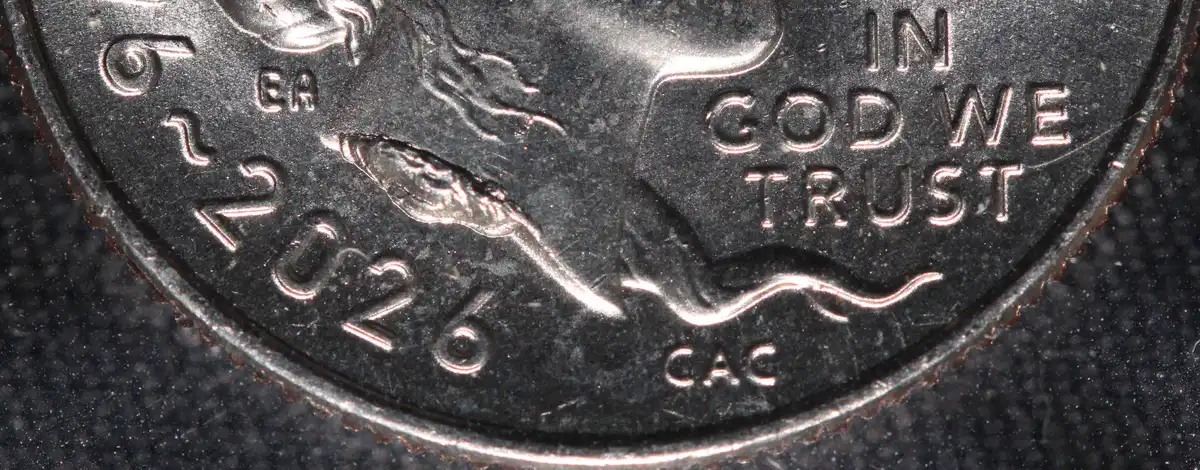 2026-P-Emerging-Liberty-Dime-With-Massive-Die-Chip-Under-Neck-Ebay-Purchase