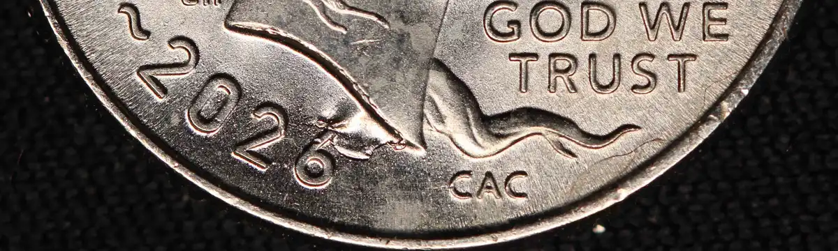 2026-P-Emerging-Liberty-Dime-With-Massive-Die-Chip-Under-Neck-Ebay-Purchase