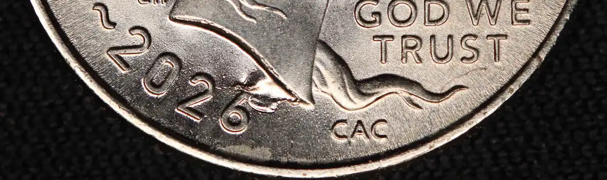 2026-P-Emerging-Liberty-Dime-With-Massive-Die-Chip-Under-Neck-Ebay-Purchase
