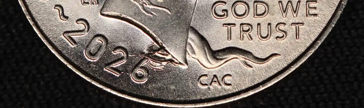 2026-P-Emerging-Liberty-Dime-With-Massive-Die-Chip-Under-Neck-Ebay-Purchase