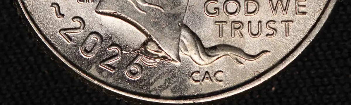 2026-P-Emerging-Liberty-Dime-With-Massive-Die-Chip-Under-Neck-Ebay-Purchase