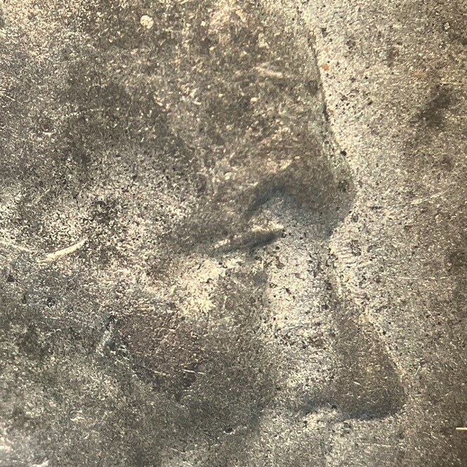 1943-S-Lincoln-Cent-DDO-43/2