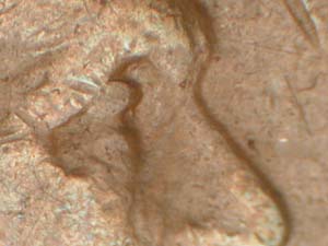1917-Lincoln-Cent-DDO-FS-101---Trace-Of-Camel-Toe-On-9-With-Bells-And-Whistles-Of-The-Variety
