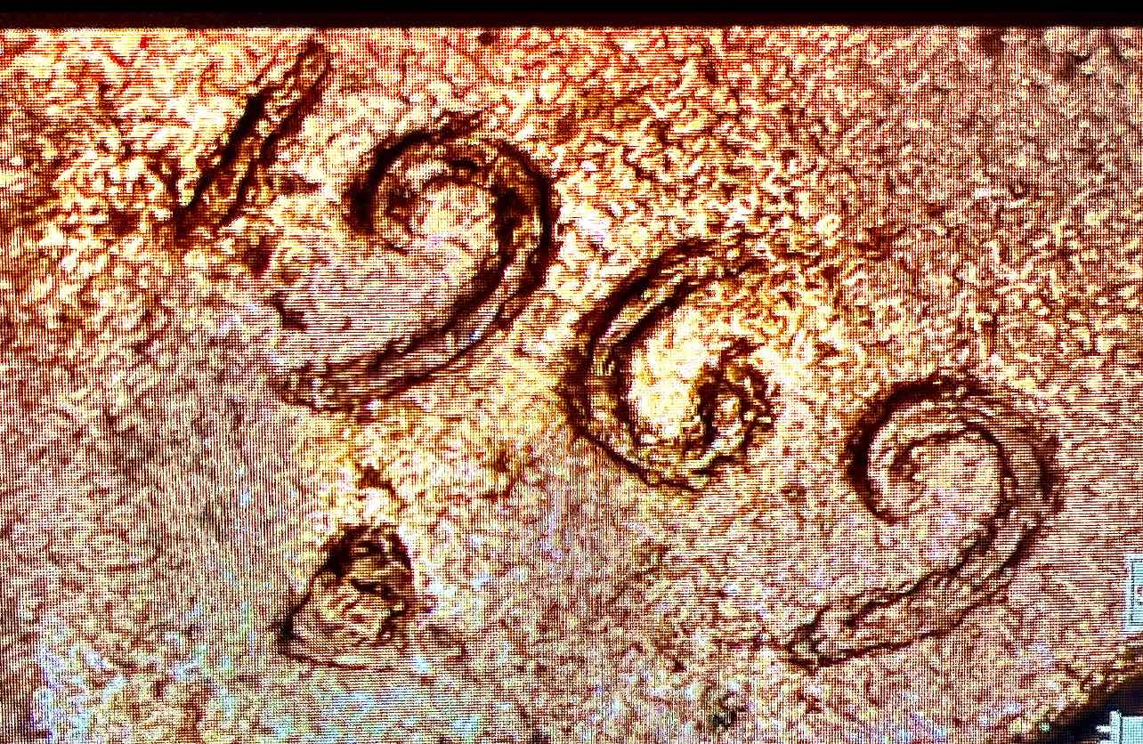 1969-D-Over-S-DDO-Lincoln-Cent?