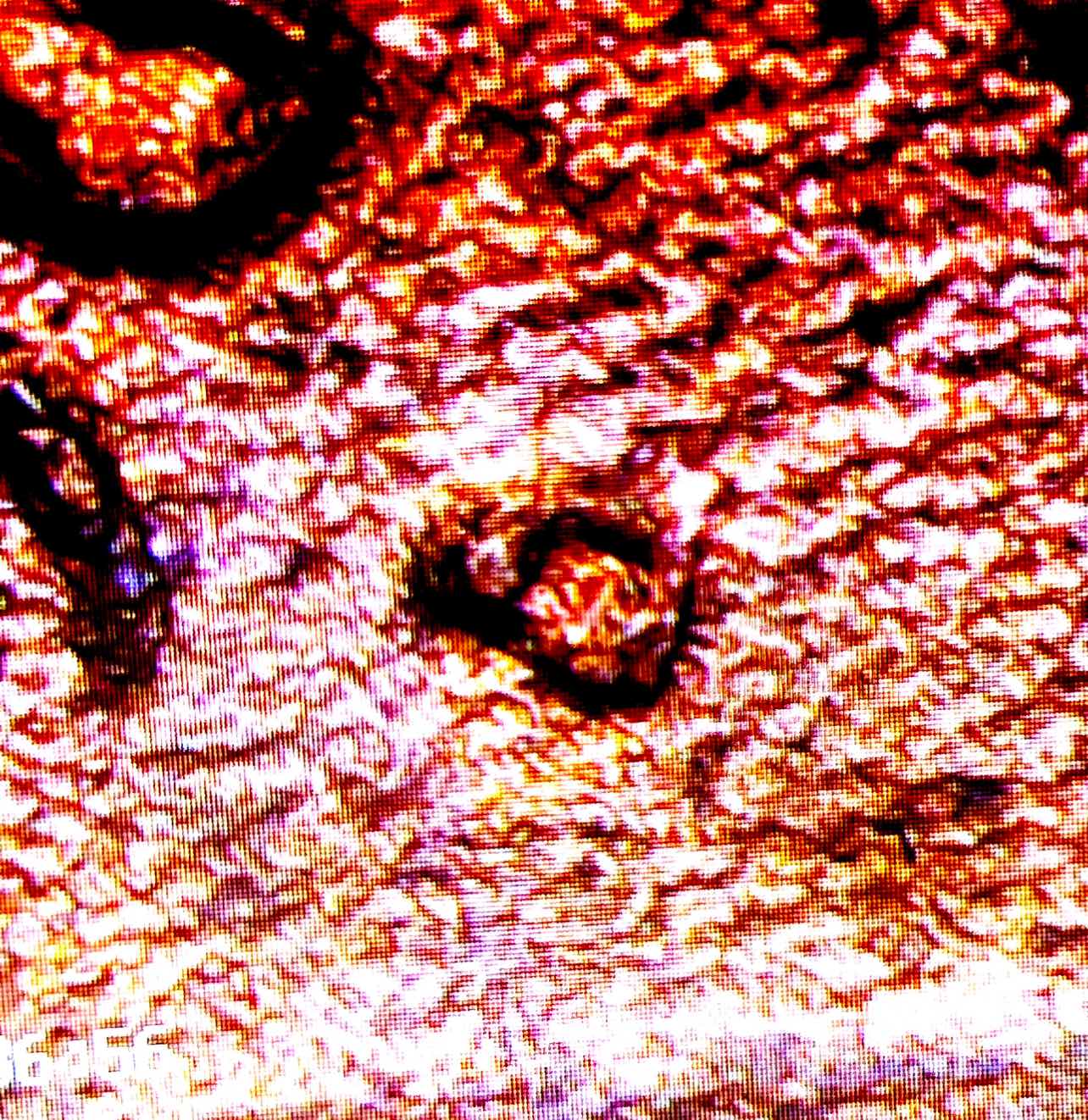 1969-D-Over-S-DDO-Lincoln-Cent?