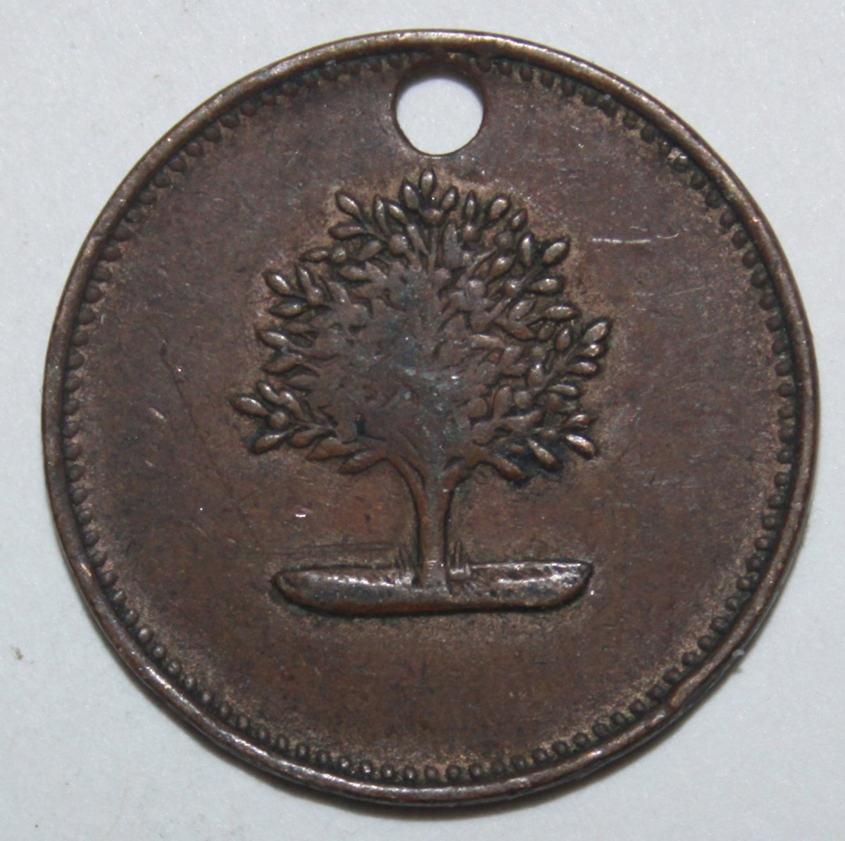 Can-Anyone-Identify?--Bronze-24mm-Tree-Apple?--Fruit?