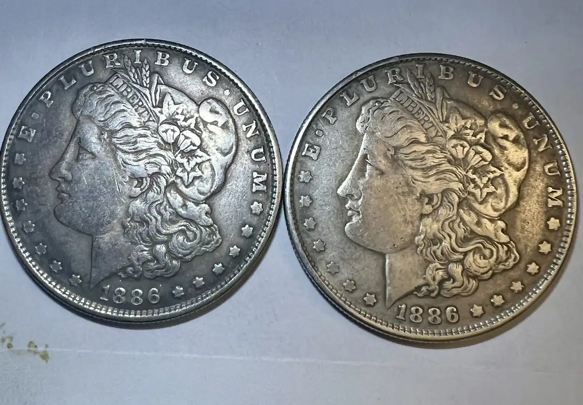 1886-S-Morgans-Was-I-Duped?