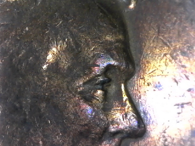 1941-D-LWC-DDO-Eyelid---Can't-Find-Listed-Anywhere