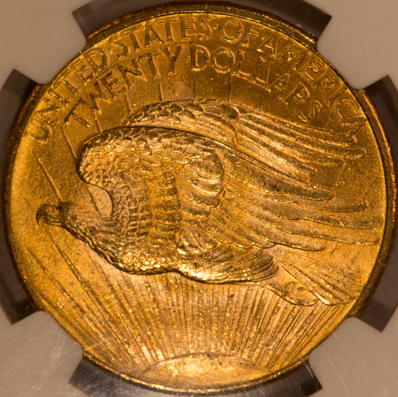 Looking-To-Buy-My-First-Double-Eagle