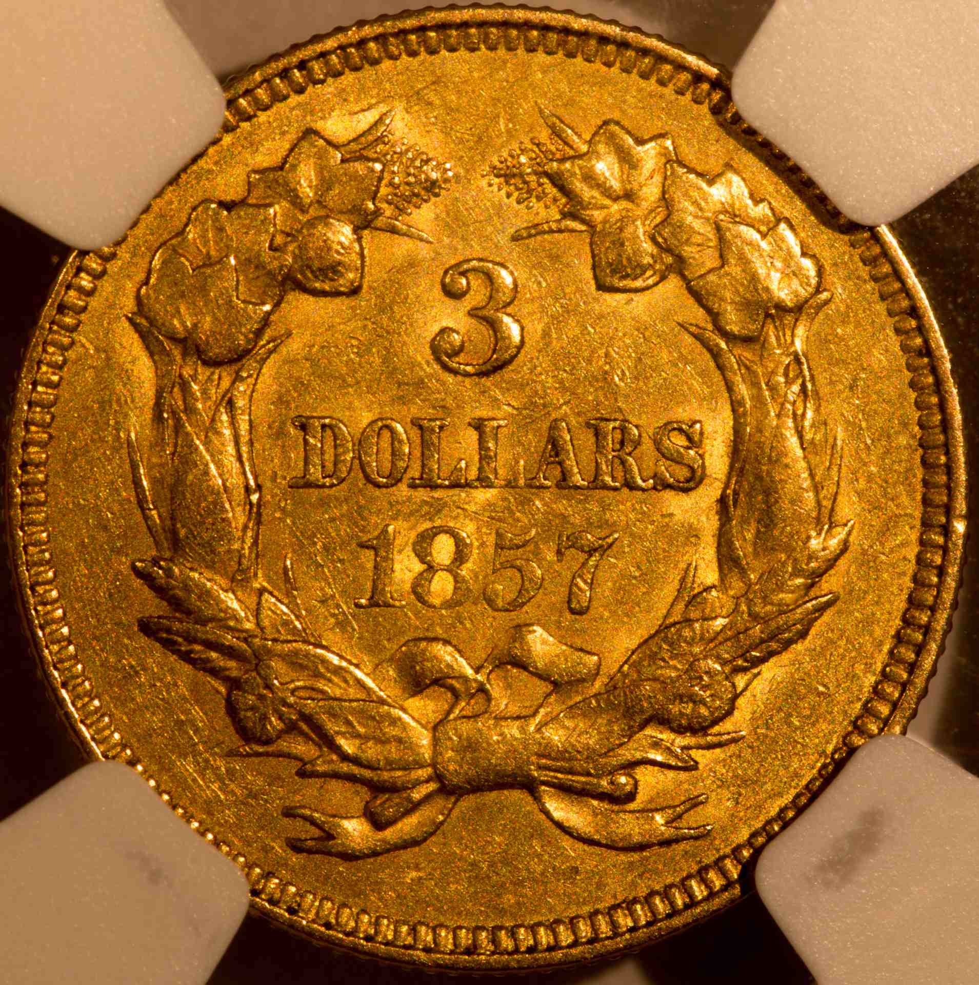 A-Recent-Princess-Acquisition-1857-3-Dollars