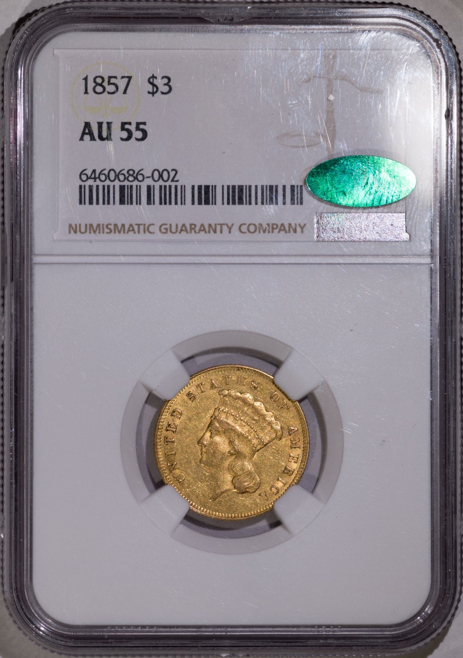 A-Recent-Princess-Acquisition-1857-3-Dollars