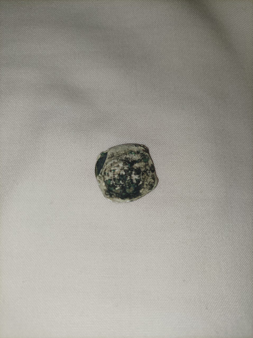 Please-Help-In-Identifying-This-13th-Century-Austrian-Corinthia-Coin.