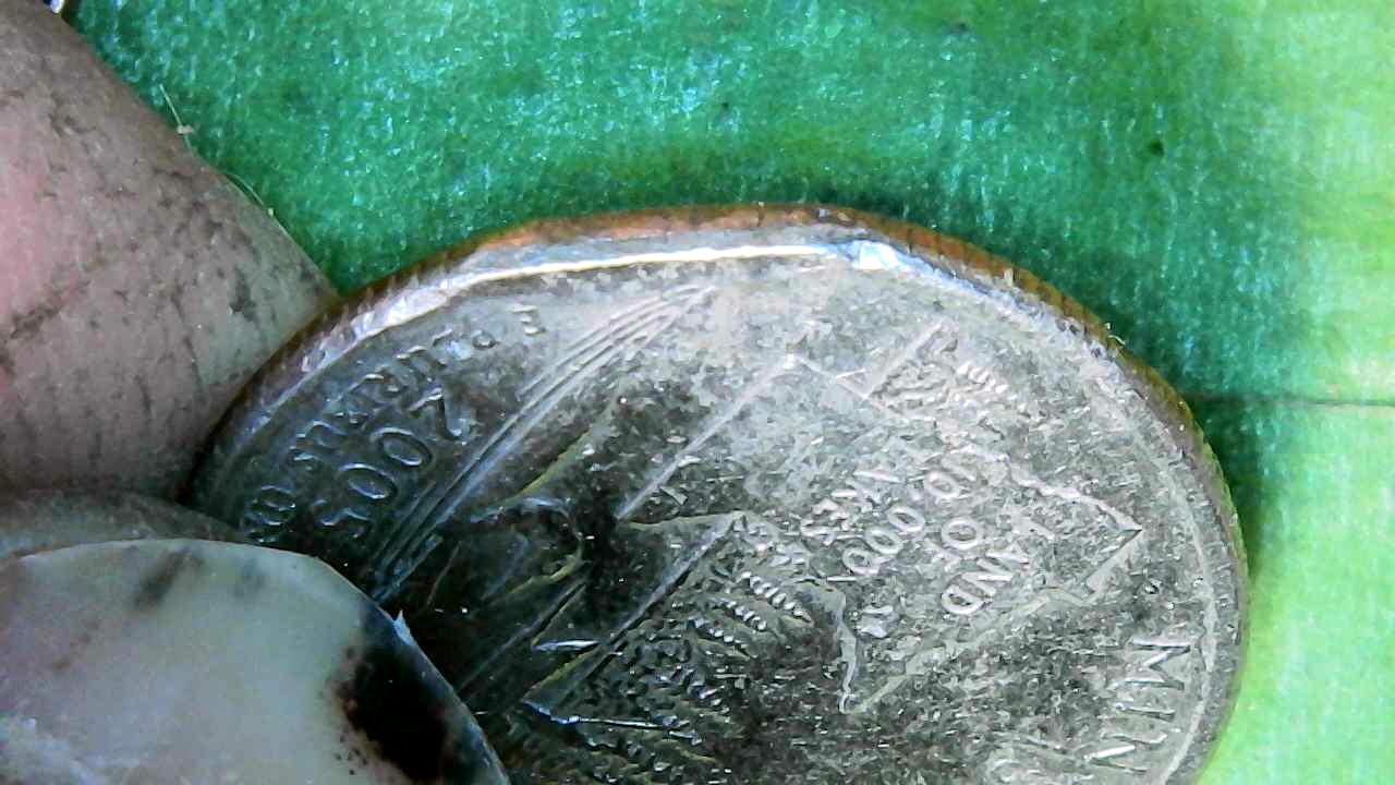 2005-D-Quarter-Possible-Clip-Or-Is-It-From--A-Washing-Machine