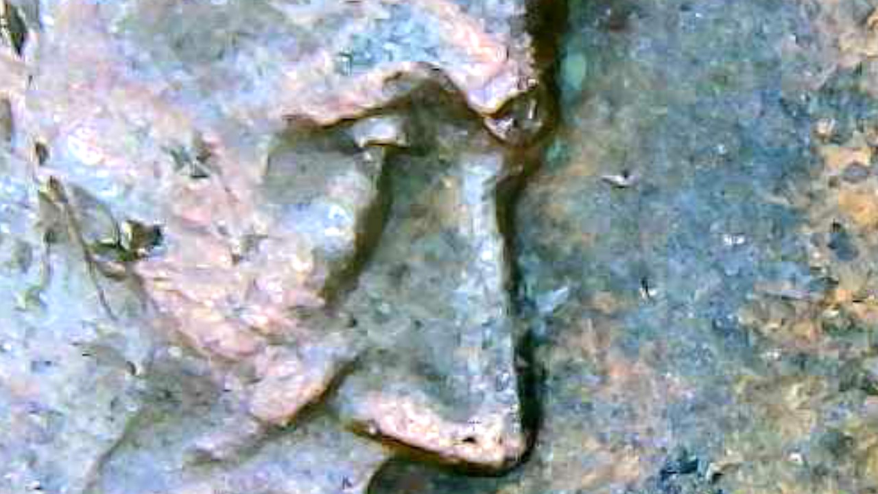 1991-Penny-Is-This-A-Clip-From-The-Mint