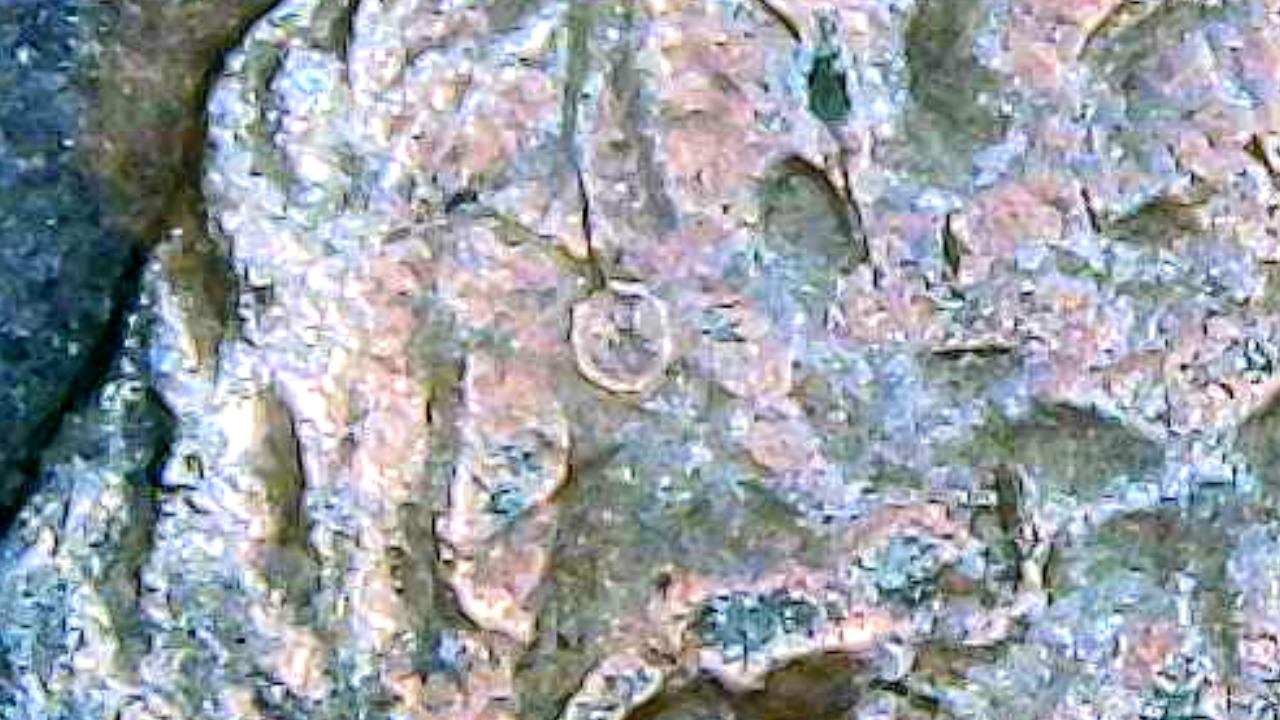 1991-Penny-Is-This-A-Clip-From-The-Mint