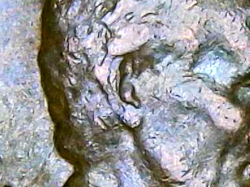 1959-D-Cent-Could-This-Be-D-Over-D