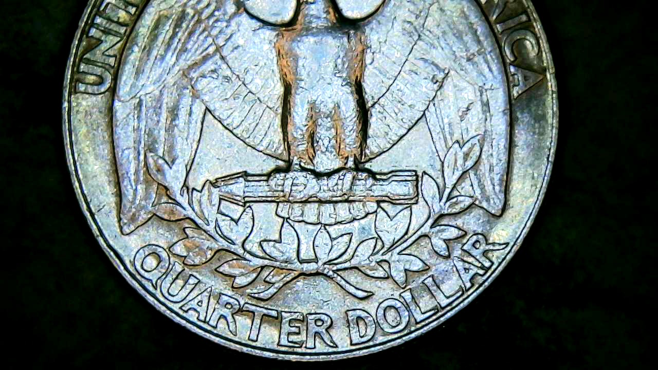 1991-D-Quarter-I-Have-A-Couple-Of-Questions-On-The-Reverse-What-Is-That-By-The-Beak